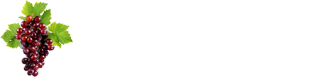 Vintner's Canton Winery